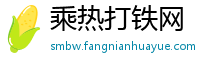 乘热打铁网